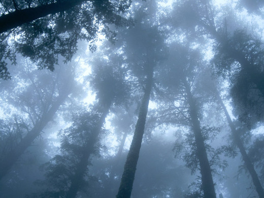 44442 (a): :1600x1200